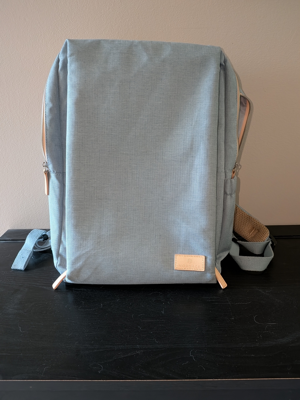 Unbranded Light Blue Women's Backpack with Tan Accents